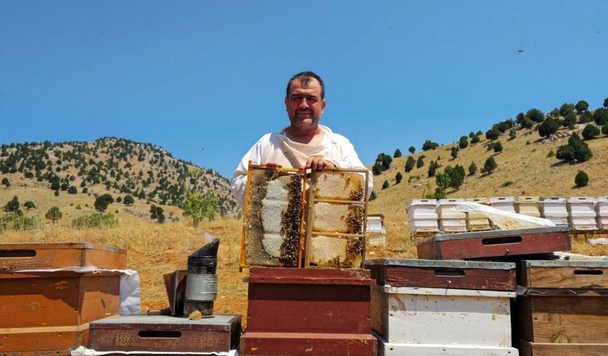 Kahramanmaraş'ta Yeni Sezon Bal Fiyatları Belli Oldu