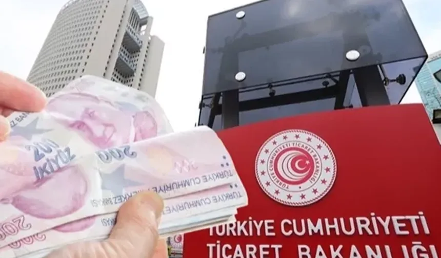 Ticaret Bakanlığı'ndan DTÖ Raporu Açıklaması: Türkiye'nin Tazminat Borcu Bulunmuyor