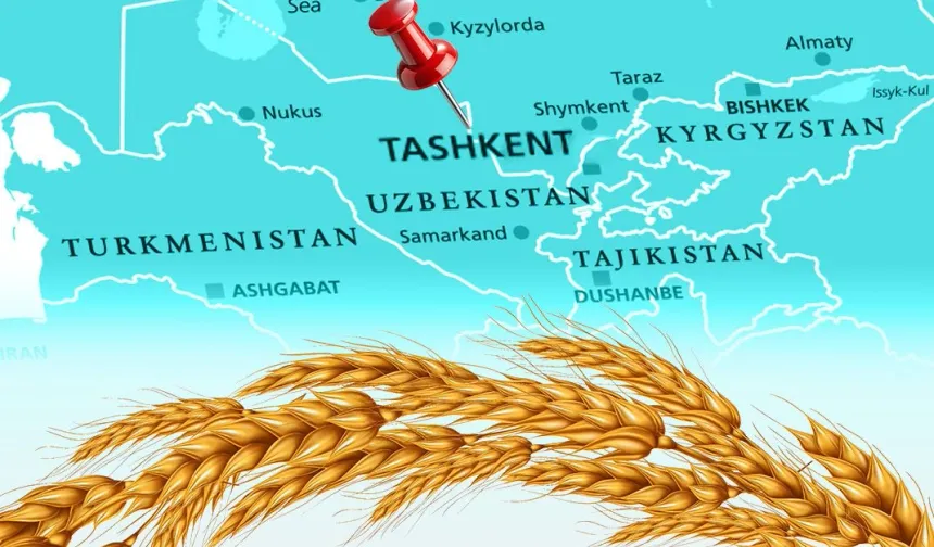 Türkiye Un ihracatında 12. Şampiyonluk Hedefini Koydu