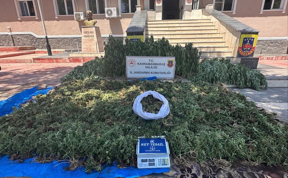 Kahramanmaraş Pazarcık’ta Kenevir Operasyonu: 4 Şüpheli Tutuklandı