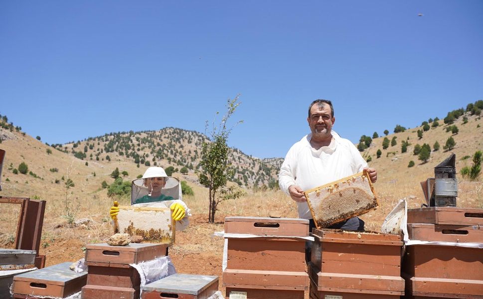 Kahramanmaraş’ta Bal Hasadı Başladı