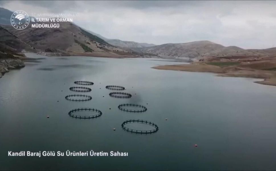 Kahramanmaraş Rekora Koşuyor: Balıkçılık Alanında Üretim 17 Bin Tona Ulaştı