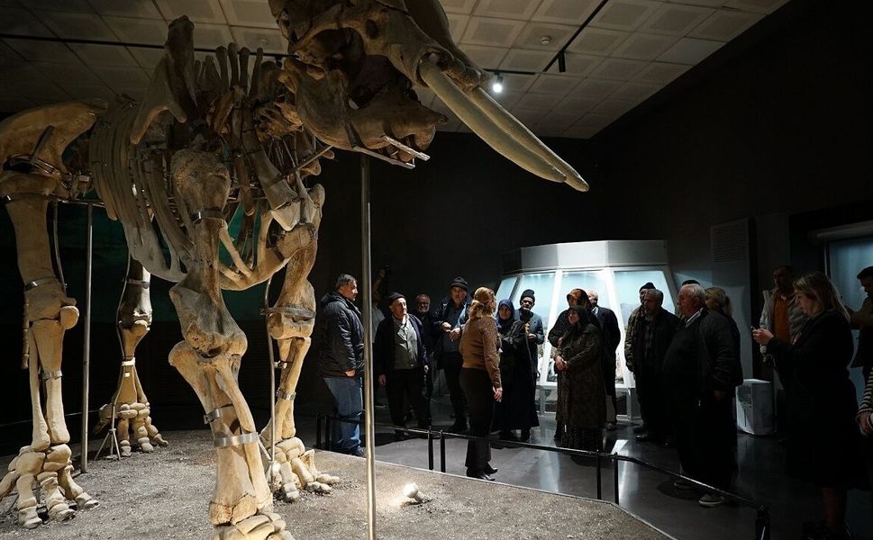 Büyükşehir, Ulu Çınarları Tarihle Buluşturdu