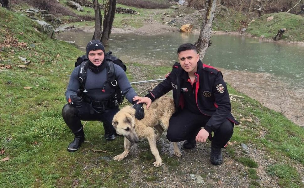 Kahramanmaraş'ta Nefes Kesen Anlar! Suyun Ortasında Kalan Köpeği Böyle Kurtardılar