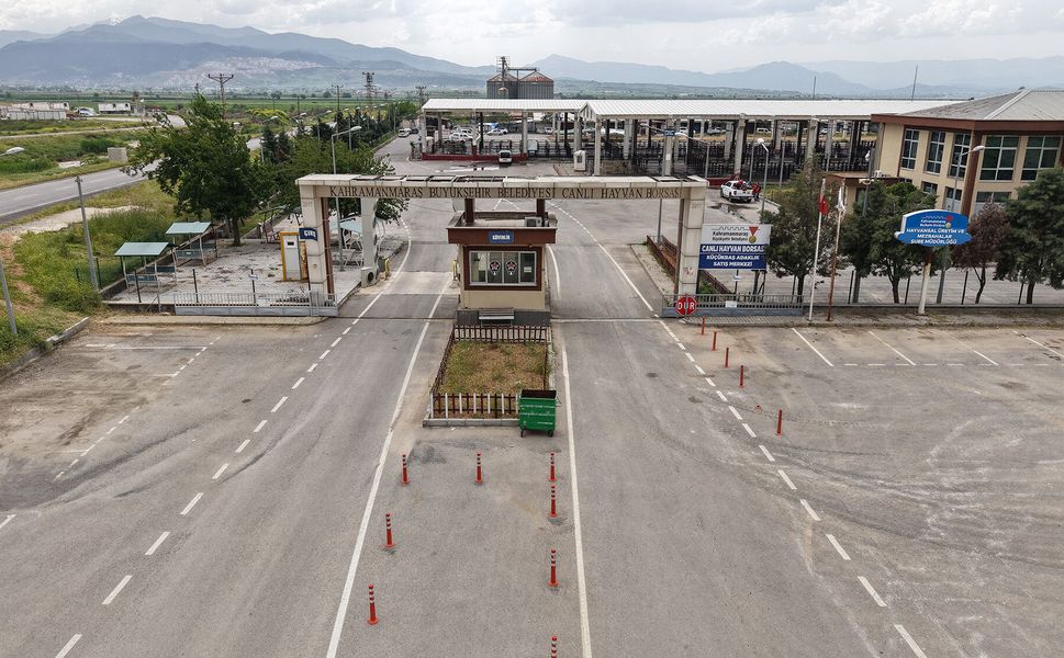 Canlı Hayvan Borsası Kurban Bayramı’na Hazır; Kurbanlık Satışları Başlıyor