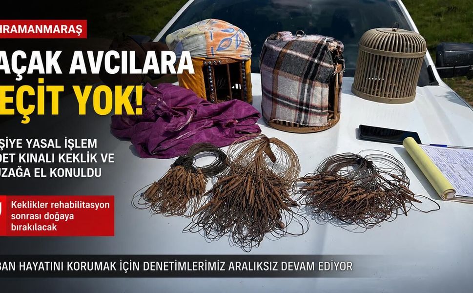 Kahramanmaraş’ta Doğa Katliamına İzin Yok: Kaçak Avcılar Yakalandı