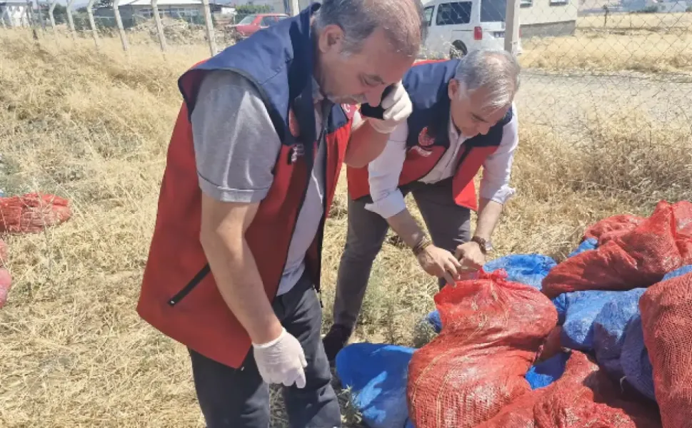 Kahramanmaraş'ta Ruhsatsız Mandırada Tonlarca Domates Kurusu İmha Edildi