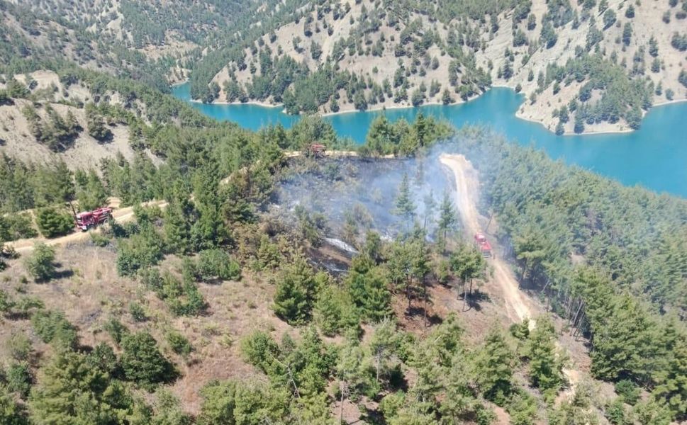 Kahramanmaraş’ta Orman Yangını