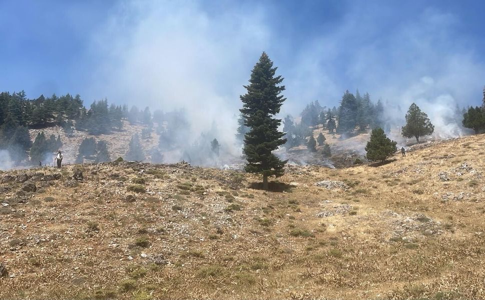 Kahramanmaraş'ta İki Orman Yangını Söndürüldü
