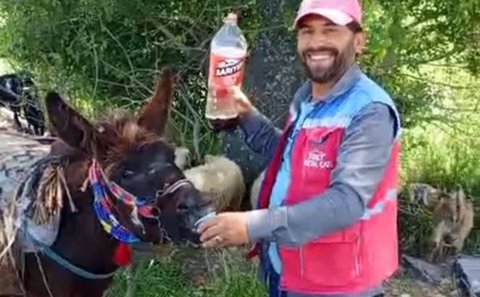 Kahramanmaraş'ta Vefalı Güllü Sosyal Medyanın Gözdesi