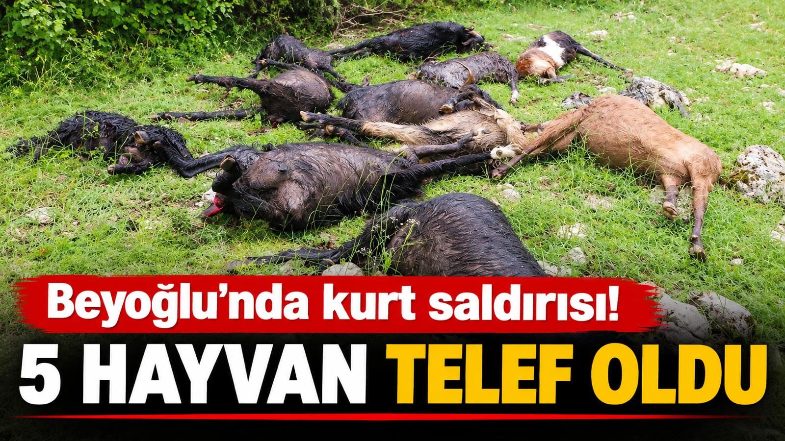 Kahramanmaraş