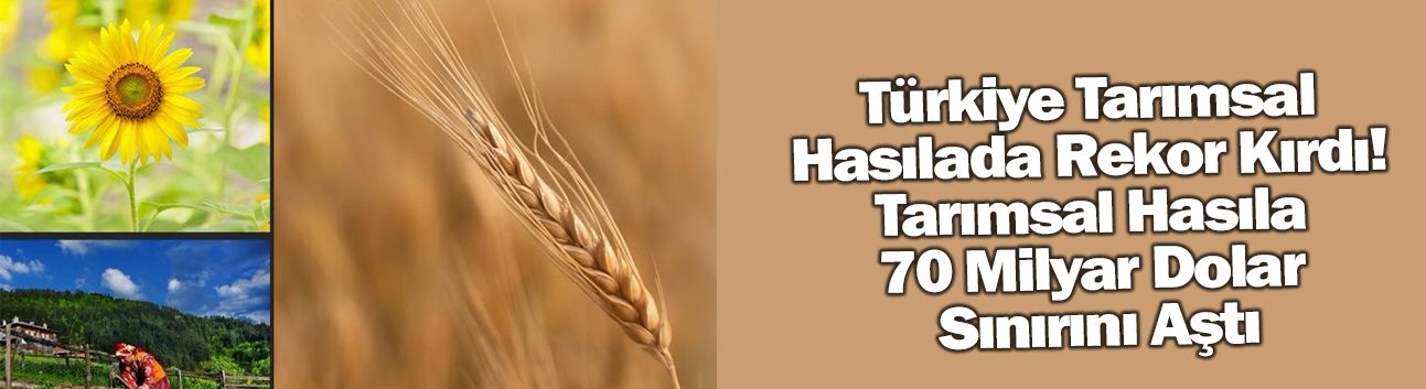 Türkiye Tarımsal Hasılada Rekor Kırdı! Tarımsal Hasıla 70 Milyar Dolar Sınırını Aştı