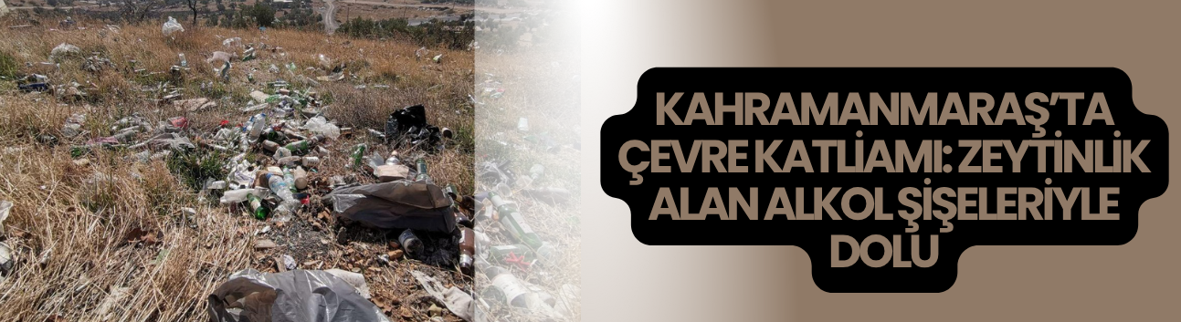 Kahramanmaraş’ta Çevre Katliamı: Zeytinlik Alan Alkol Şişeleriyle Dolu